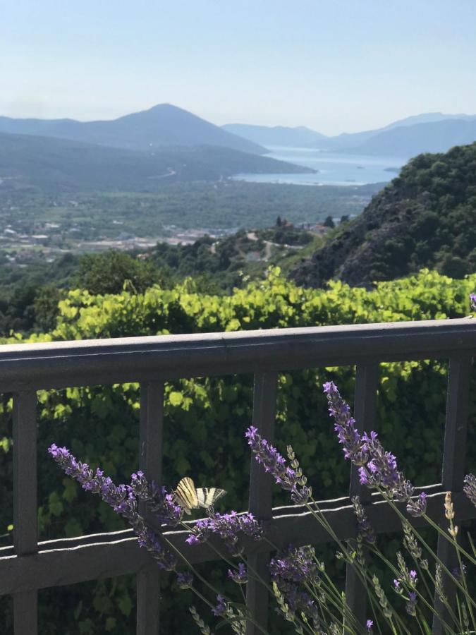Villa Nikoleta Κότορ Εξωτερικό φωτογραφία