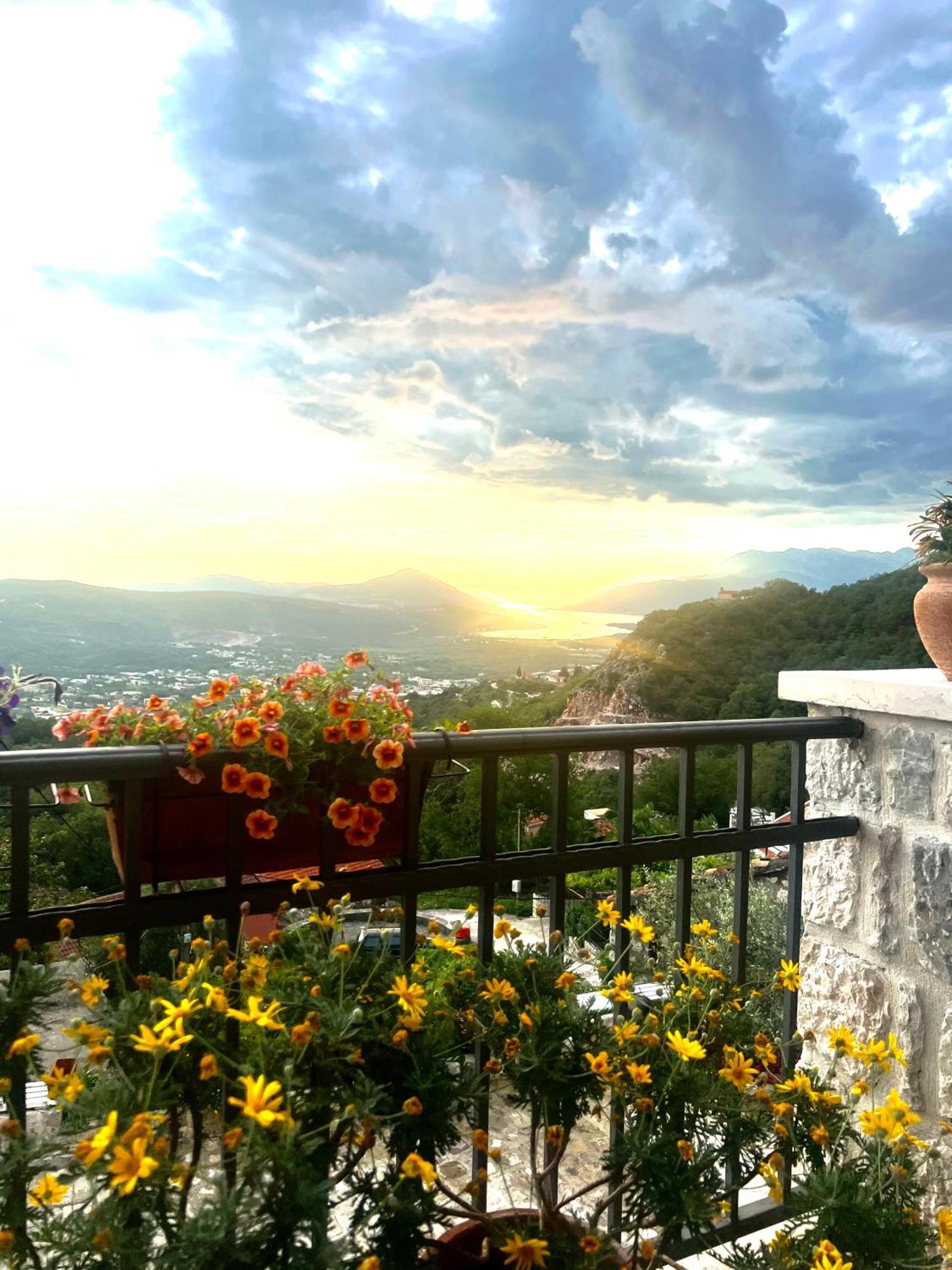 Villa Nikoleta Κότορ Εξωτερικό φωτογραφία