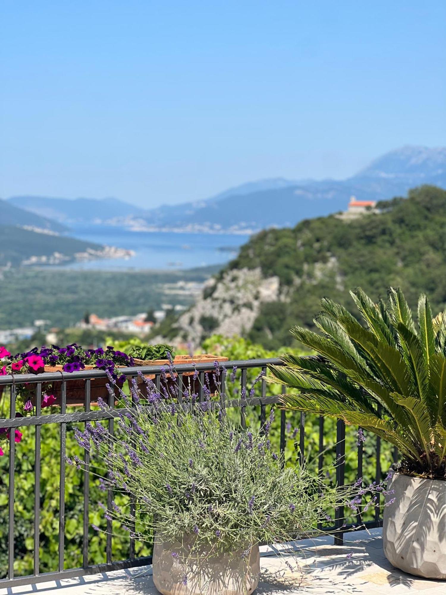 Villa Nikoleta Κότορ Εξωτερικό φωτογραφία