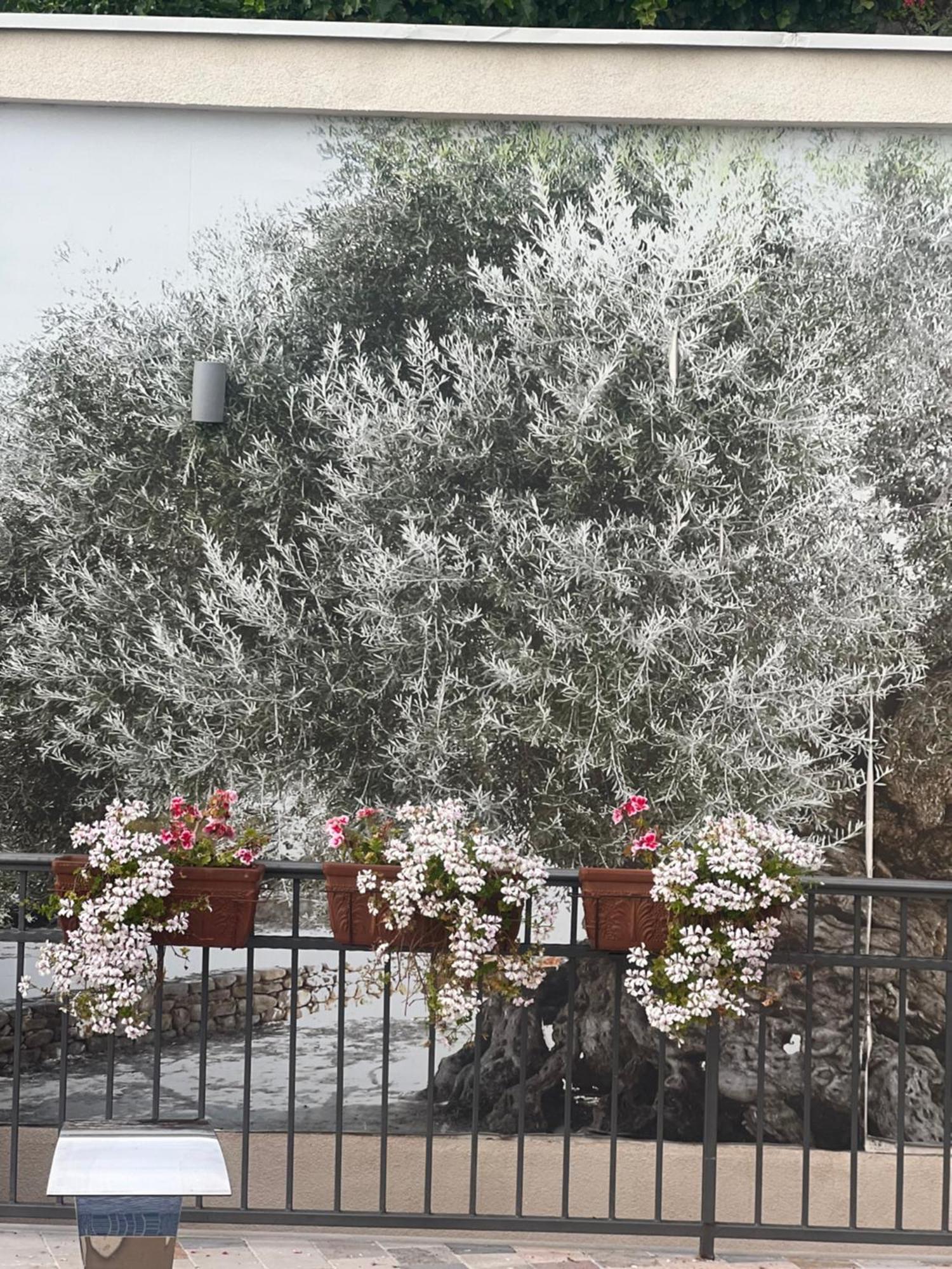 Villa Nikoleta Κότορ Εξωτερικό φωτογραφία